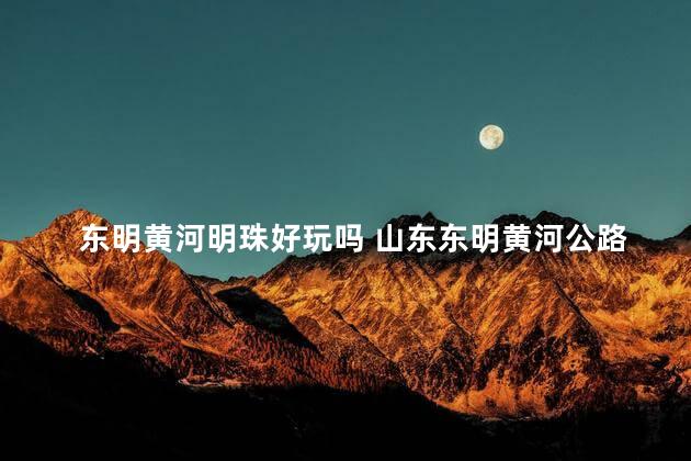 东明黄河明珠好玩吗 山东东明黄河公路大桥